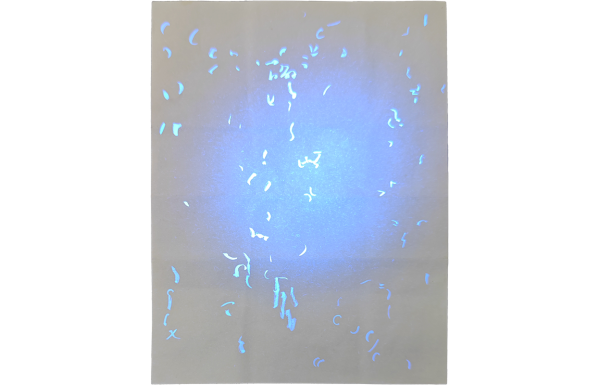 Iowa Fake Birth Certificate