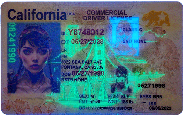 California Novelty CDL