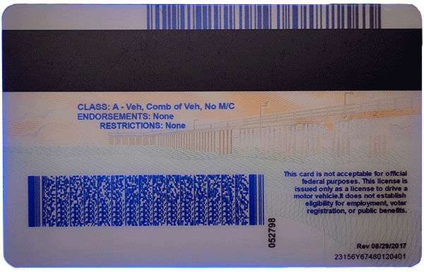 California Novelty CDL