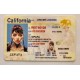 California Fake id front side