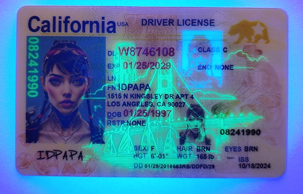 California Fake IDs