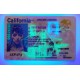 California Fake id front side