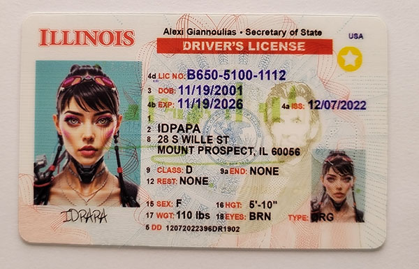 Illinois Fake IDs
