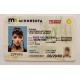 Minnesota Fake id front side