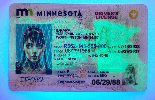 Minnesota Fake IDs