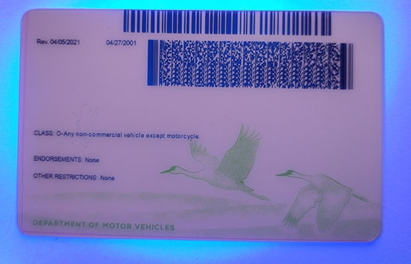 Nebraska Fake id front side