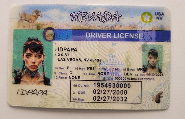 Nevada Fake Dirvers Licence