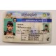 Nevada Fake id front side