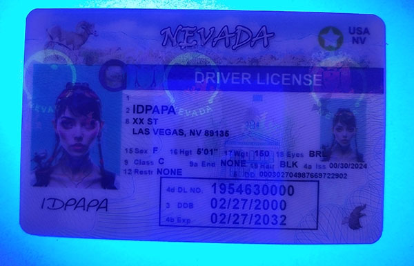 Nevada Fake Dirvers Licence