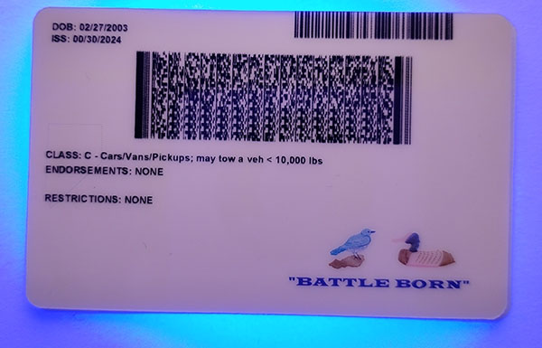 Nevada Fake id front side