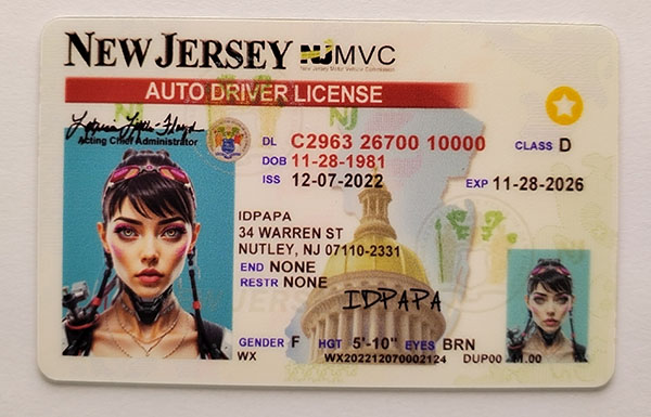 New Jersey Fake Dirvers Licence