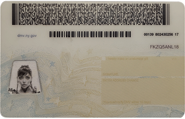 New York Novelty CDL