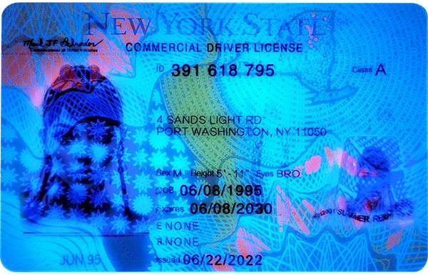 New York Novelty CDL