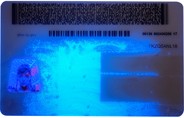 New York Novelty CDL