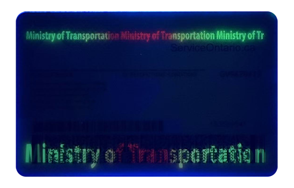 Ontario Fake id front side