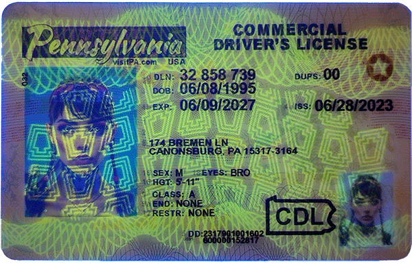 Pennsylvania Novelty CDL