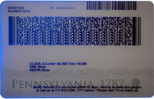 Pennsylvania Novelty CDL