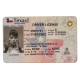 Texas Fake id front side