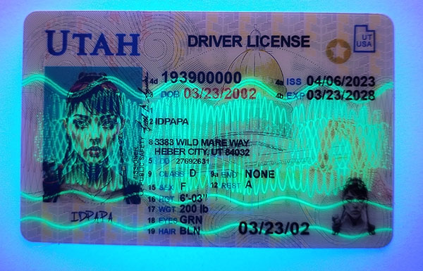 Utah Fake Dirvers Licence