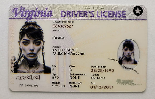 Virginia Fake Dirvers Licence