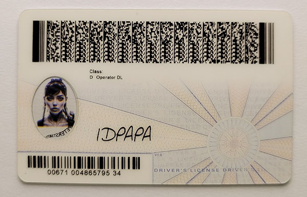 Virginia Fake id front side