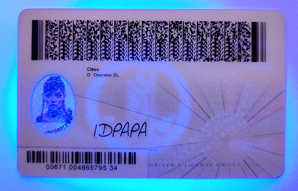 Virginia Fake id front side