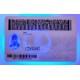 Virginia Fake id front side