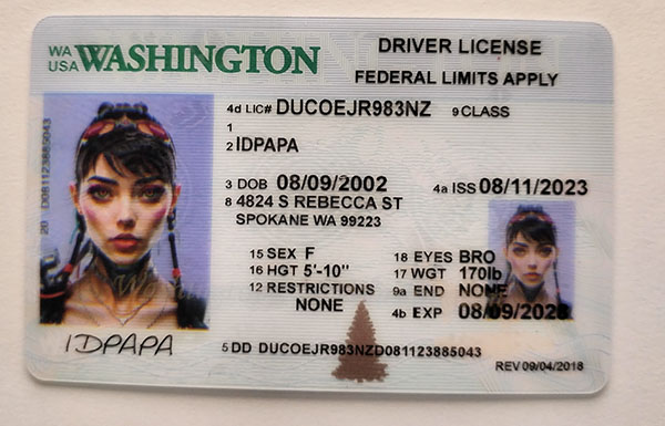 Washington Fake Dirvers Licence