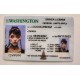 Washington Fake id front side
